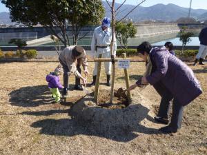 平成30年度記念植樹募集のお知らせ